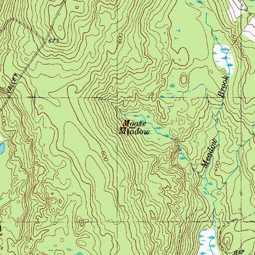 Topographic Map of Moose Meadow, ME