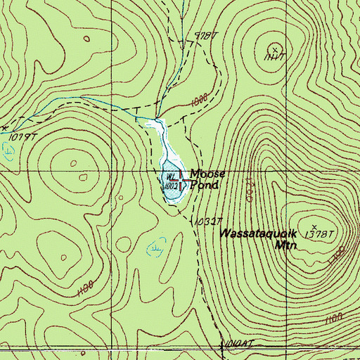 Topographic Map of Moose Pond, ME