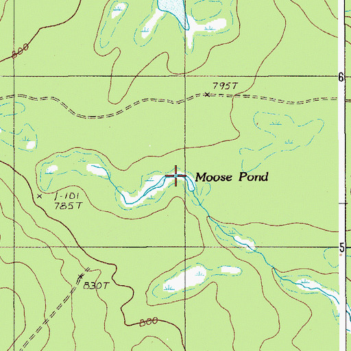 Topographic Map of Moose Pond, ME