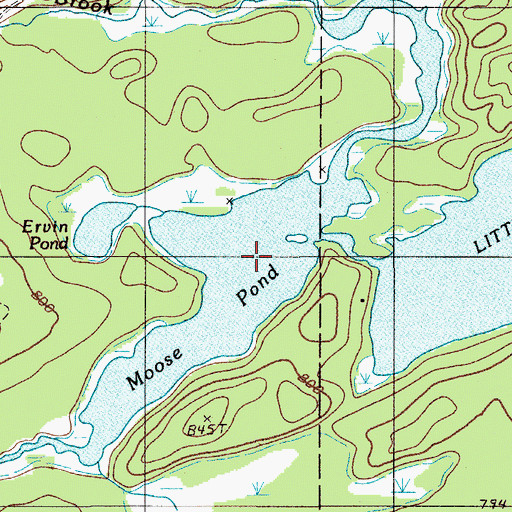 Topographic Map of Moose Pond, ME