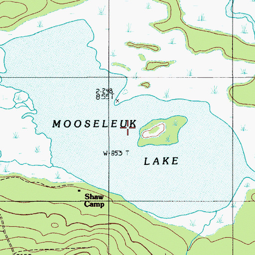 Topographic Map of Mooseleuk Lake, ME