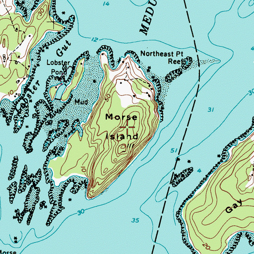 Topographic Map of Morse Island, ME