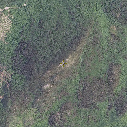 Aerial/Satellite Image of Mount Chase, ME