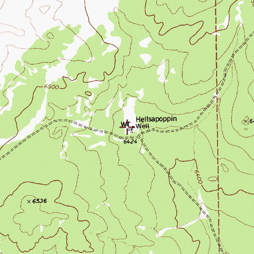 Topographic Map of Hellsapoppin Well, AZ
