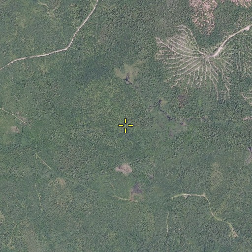 Aerial/Satellite Image of Mountain Brook, ME