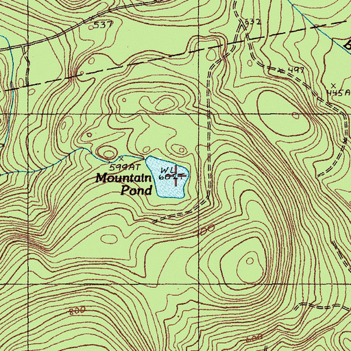 Topographic Map of Mountain Pond, ME