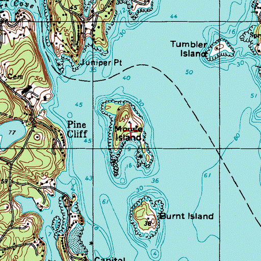Topographic Map of Mouse Island, ME
