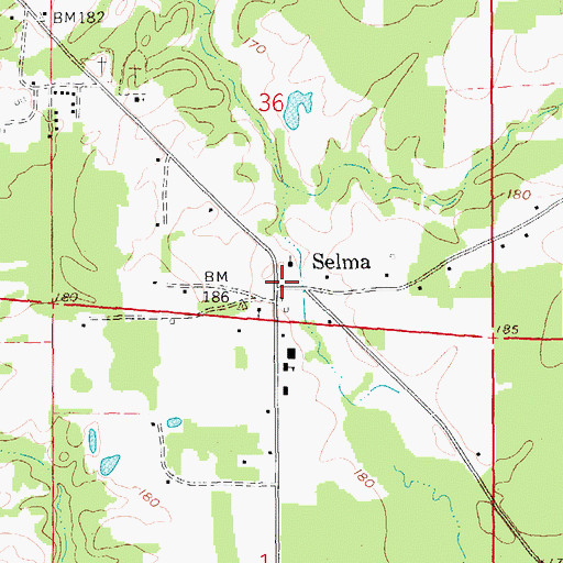 Topographic Map of Selma, AR