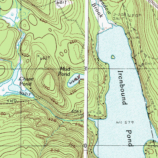 Topographic Map of Mud Pond, ME