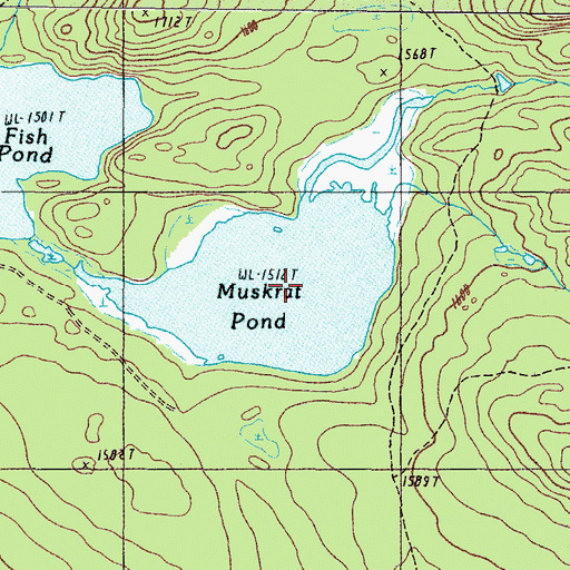 Topographic Map of Muskrat Pond, ME