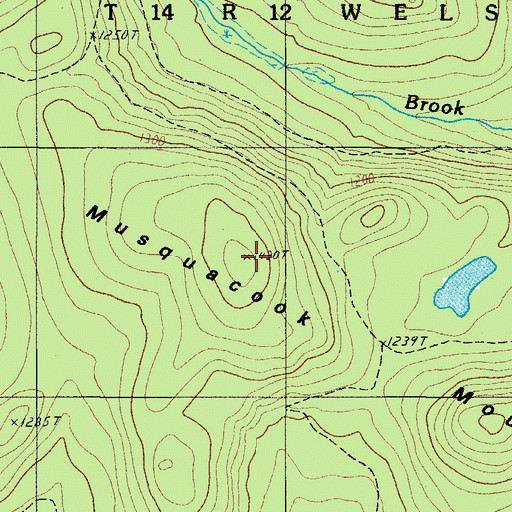 Topographic Map of Musquacook Mountain, ME