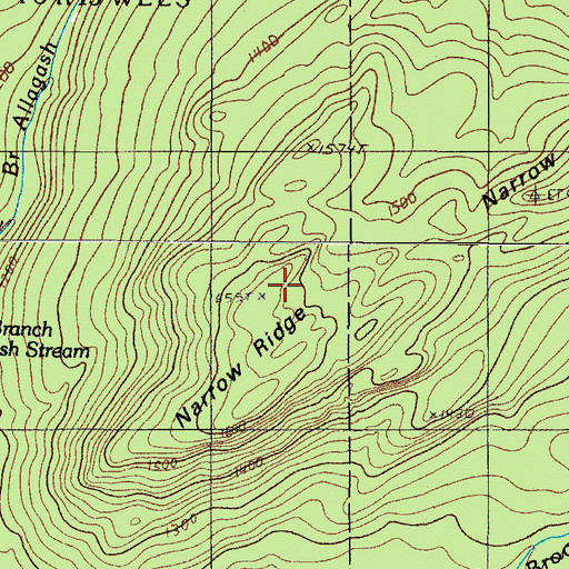 Topographic Map of Narrow Ridge, ME