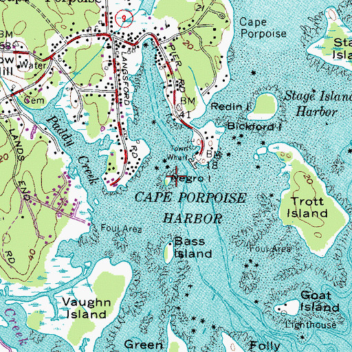 Topographic Map of Negro Island, ME