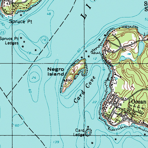 Topographic Map of Negro Island, ME