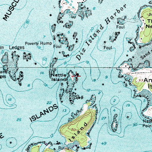 Topographic Map of Nettle Island, ME