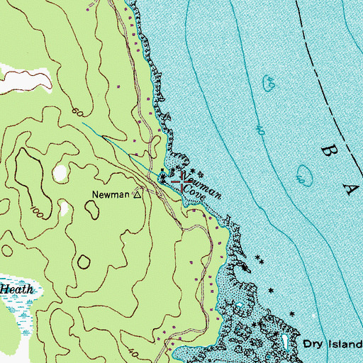 Topographic Map of Newman Cove, ME