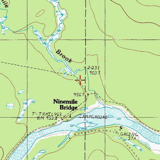 Topographic Map of Ninemile Bridge, ME