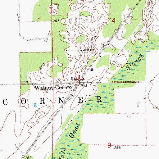 Topographic Map of Walnut Corner, AR