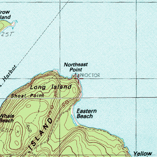 Topographic Map of Northeast Point, ME