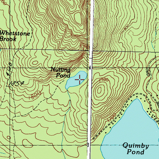 Topographic Map of Nutting Pond, ME