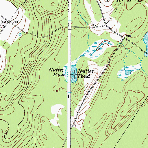 Topographic Map of Nutter Pond, ME