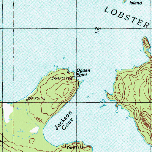 Topographic Map of Ogden Point, ME