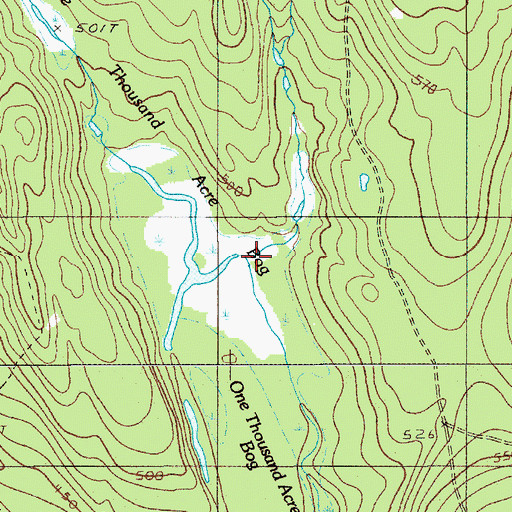 Topographic Map of One Thousand Acre Bog, ME