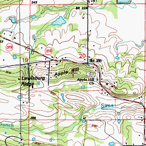 Topographic Map of Apple Hill, AR