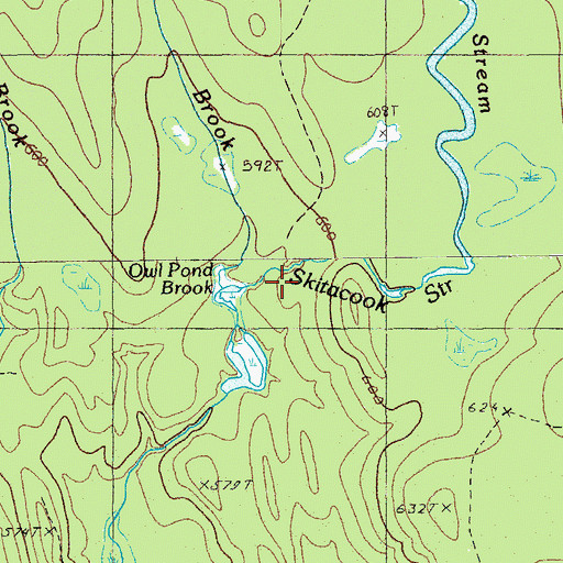 Topographic Map of Owl Pond Brook, ME