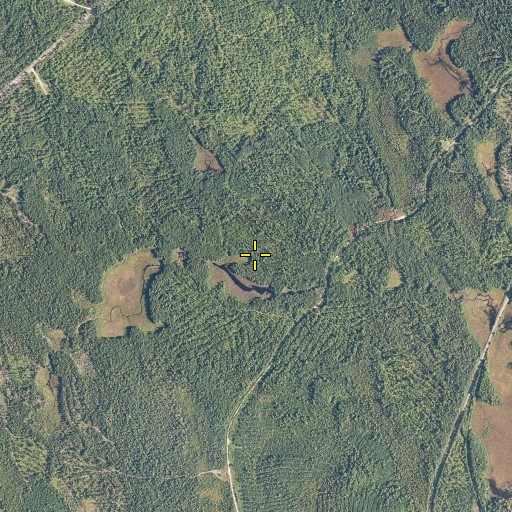 Aerial/Satellite Image of Packards Trail, ME