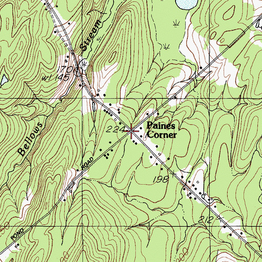 Topographic Map of Paines Corner, ME