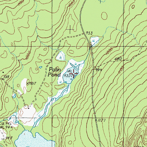 Topographic Map of Palin Pond, ME