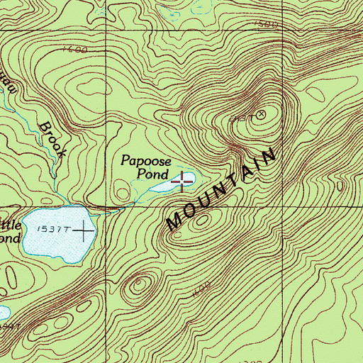 Topographic Map of Papoose Pond, ME