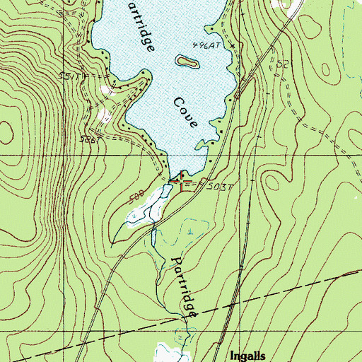 Topographic Map of Partridge Brook, ME