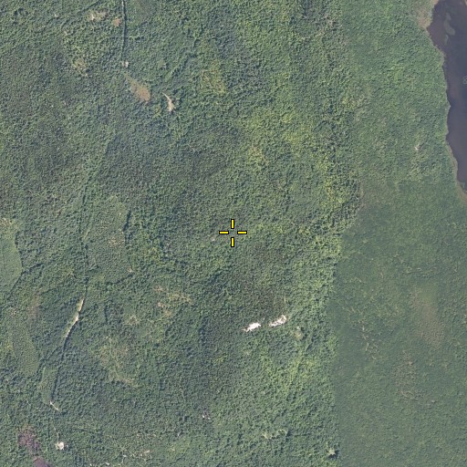 Aerial/Satellite Image of Patch Mountain, ME