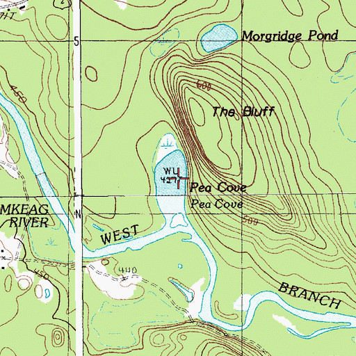 Topographic Map of Pea Cove, ME