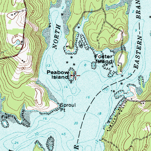 Topographic Map of Peabow Island, ME