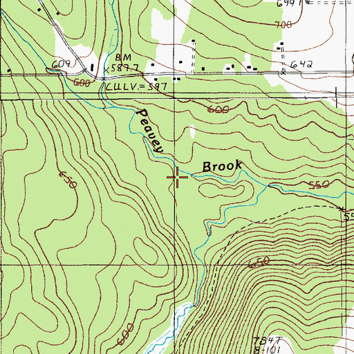 Topographic Map of Peavey Brook, ME