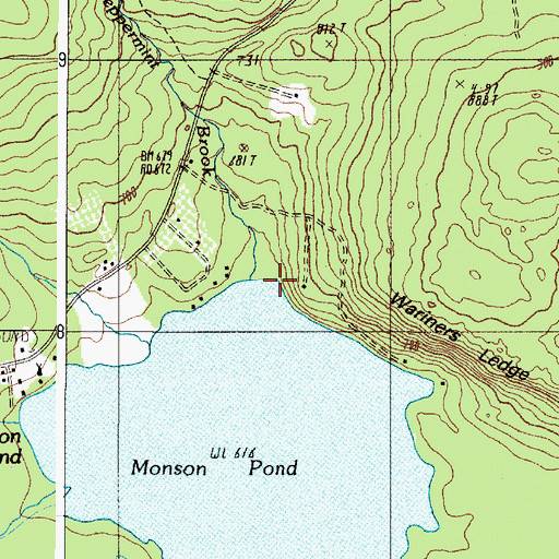 Topographic Map of Peppermint Brook, ME