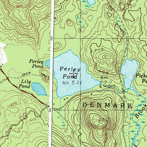 Topographic Map of Perley Pond, ME