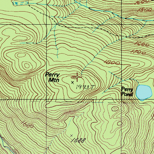 Topographic Map of Perry Mountain, ME