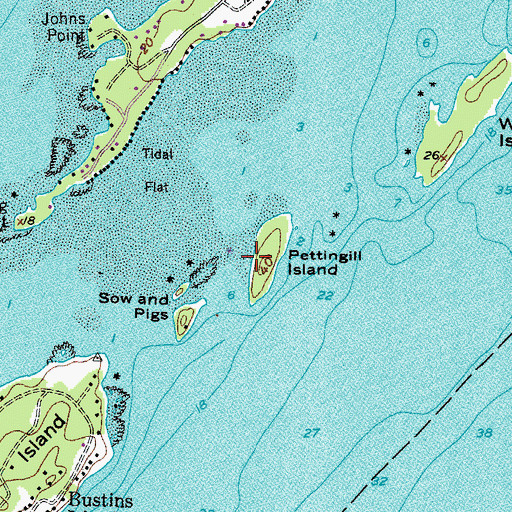 Topographic Map of Pettingill Island, ME