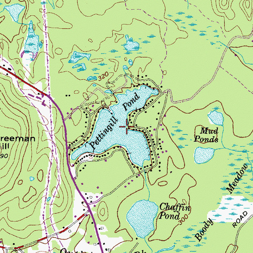 Topographic Map of Pettingill Pond, ME