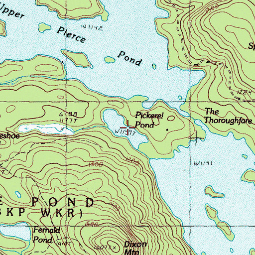 Topographic Map of Pickerel Pond, ME