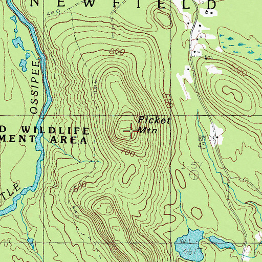 Topographic Map of Picket Mountain, ME