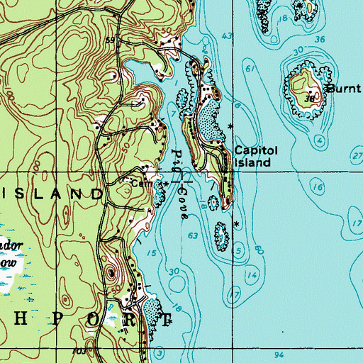 Topographic Map of Pig Cove, ME