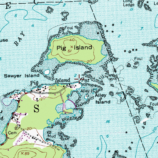 Topographic Map of Pig Island Gut, ME