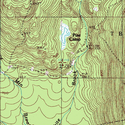 Topographic Map of Pine Camp, ME