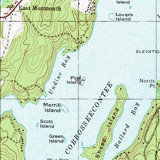 Topographic Map of Pine Island, ME