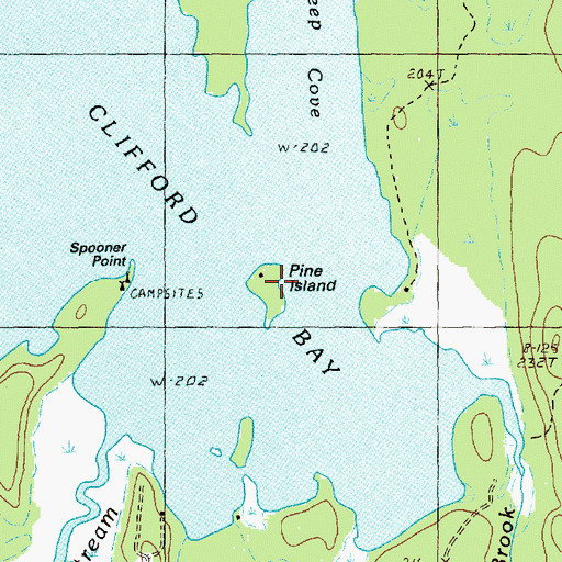 Topographic Map of Pine Island, ME